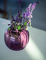 Holmegaard - Primula Vase  H12,5 - małe wazony - plum - 2