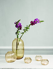 Holmegaard - Primula Oval Vase H12,5 - small vases - amber - 2