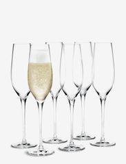 Holmegaard - Cabernet Champagne Glass 29 cl 6 pcs. - kuohuviinilasit - clear - 0