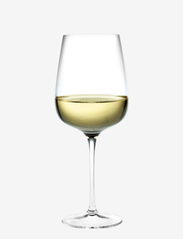 Holmegaard - Bouquet White Wine Glass 41 cl clear 6 pcs. - valkoviinilasit - clear - 2