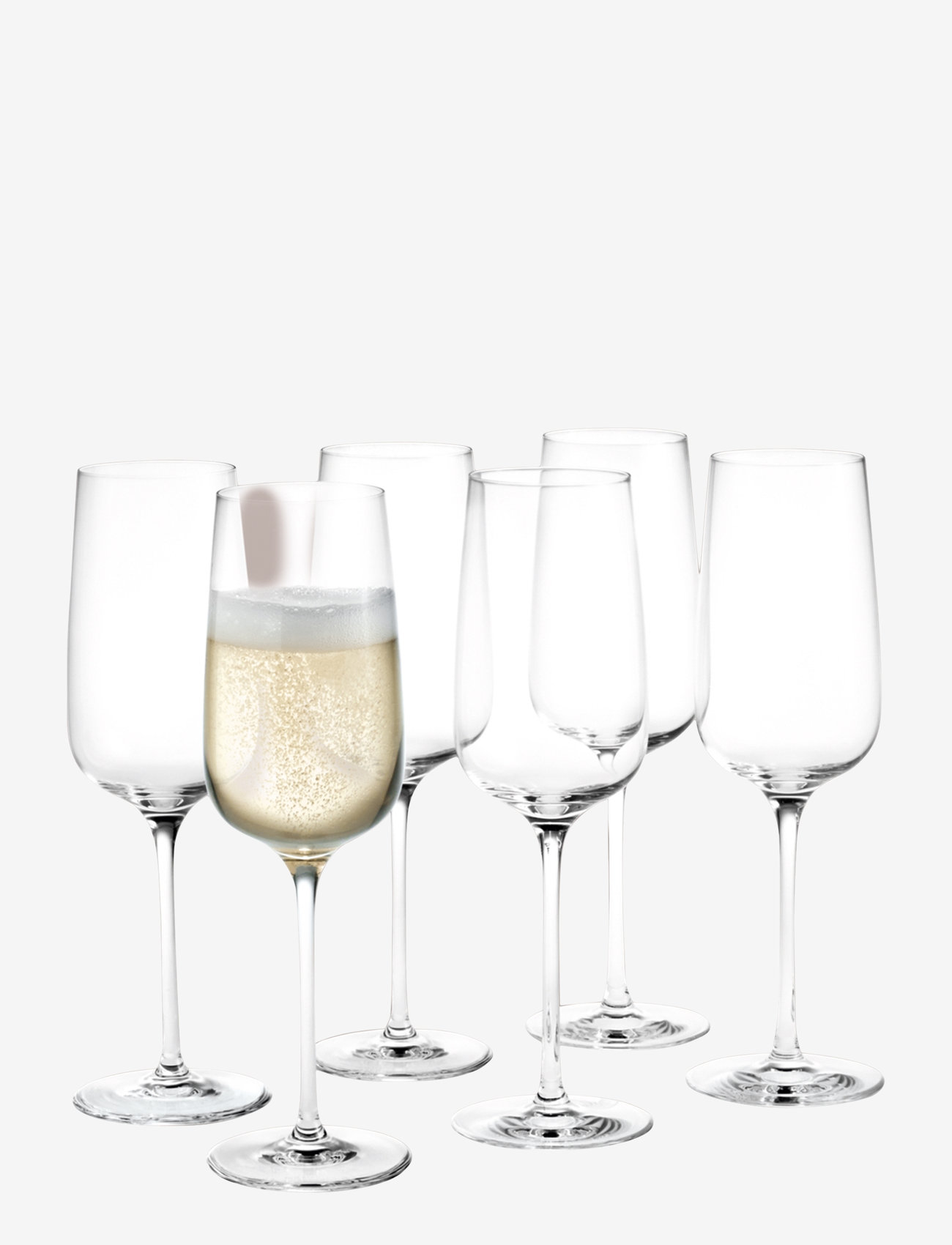 Holmegaard - Bouquet Champagne Glass 29 cl clear 6 pcs. - nach preis einkaufen - clear - 0