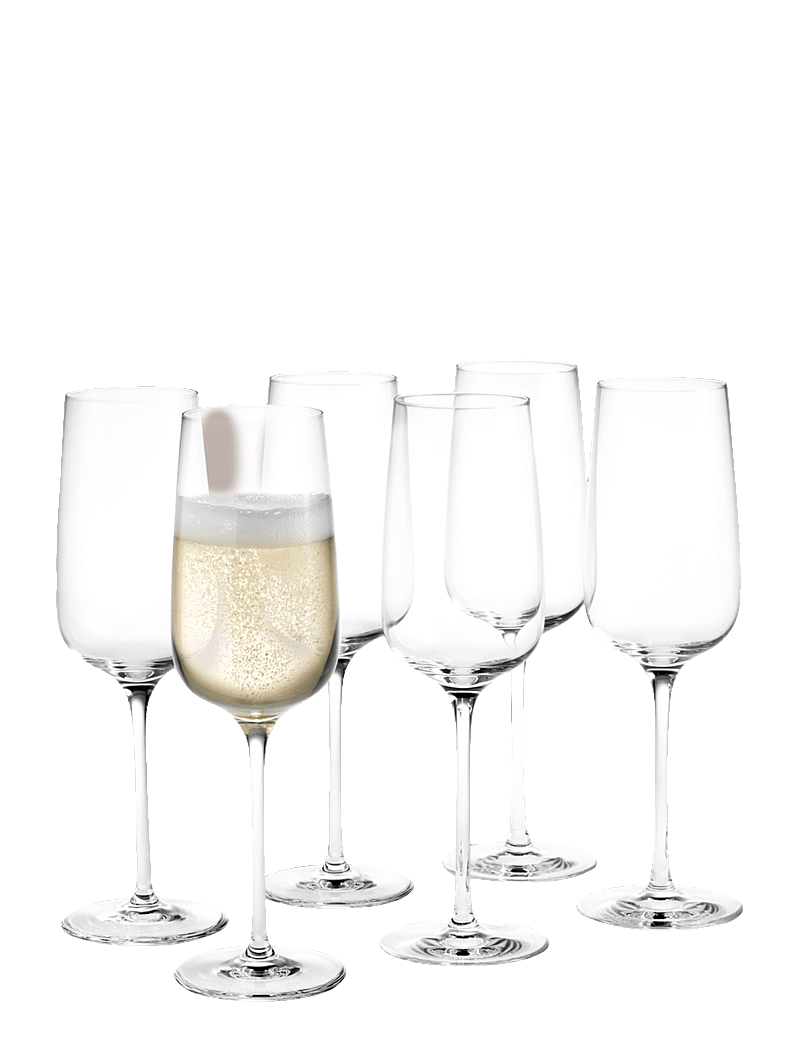 Holmegaard - Bouquet Champagne Glass 29 cl clear 6 pcs. - nach preis einkaufen - clear - 0