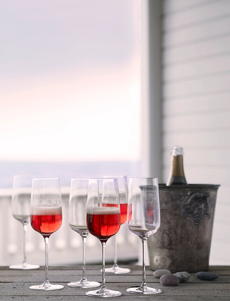 Holmegaard - Bouquet Champagne Glass 29 cl clear 6 pcs. - nach preis einkaufen - clear - 4