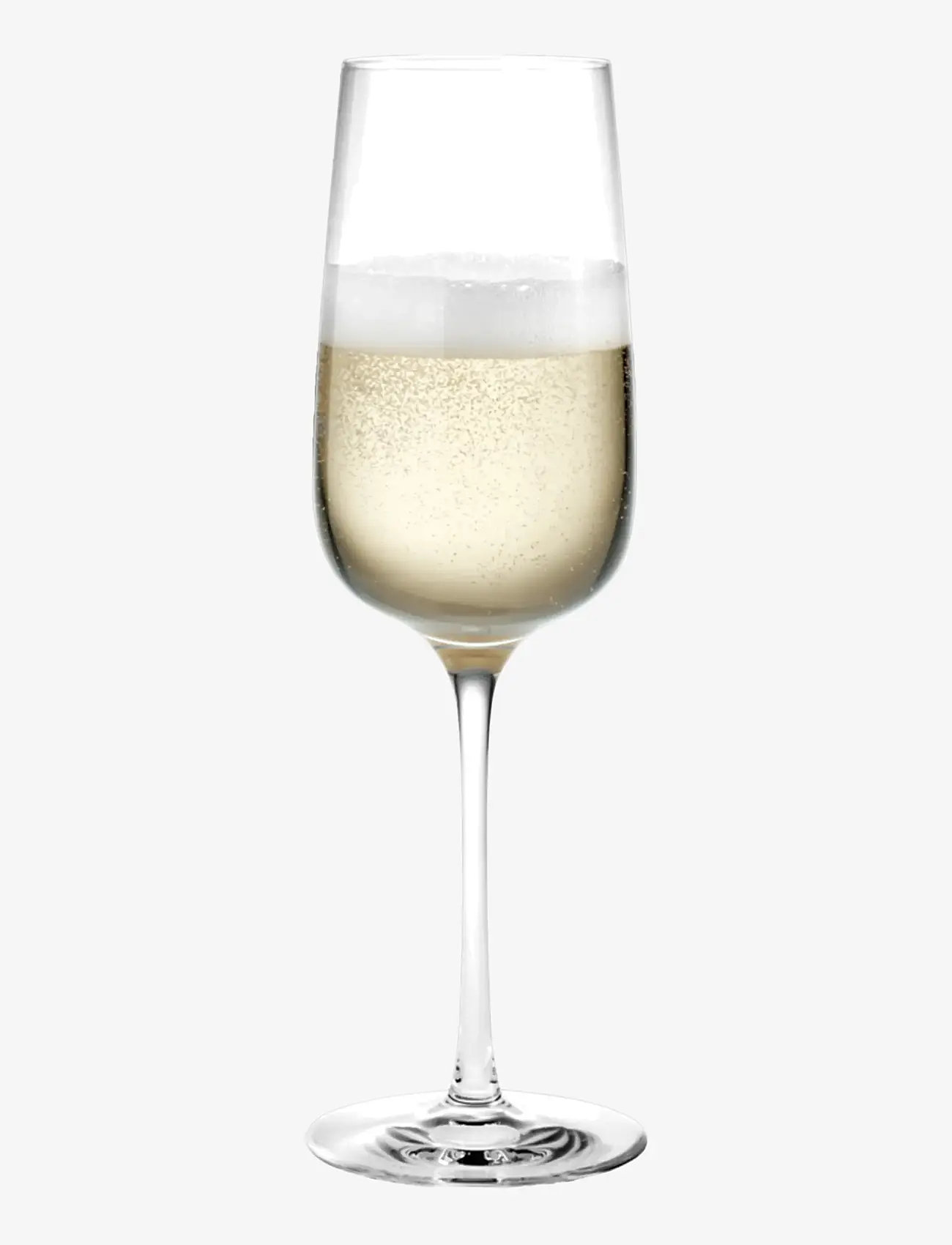 Holmegaard - Bouquet Champagne Glass 29 cl clear 6 pcs. - nach preis einkaufen - clear - 2