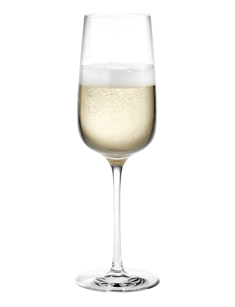 Holmegaard - Bouquet Champagne Glass 29 cl clear 6 pcs. - nach preis einkaufen - clear - 2