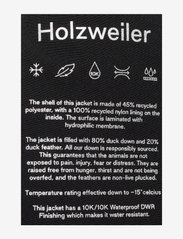 HOLZWEILER - Lom Down Jacket - Žieminės striukės - black - 3