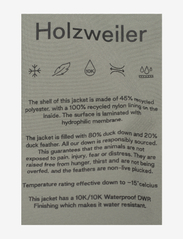 HOLZWEILER - Lom Down Jacket - vinterjackor - teal - 3