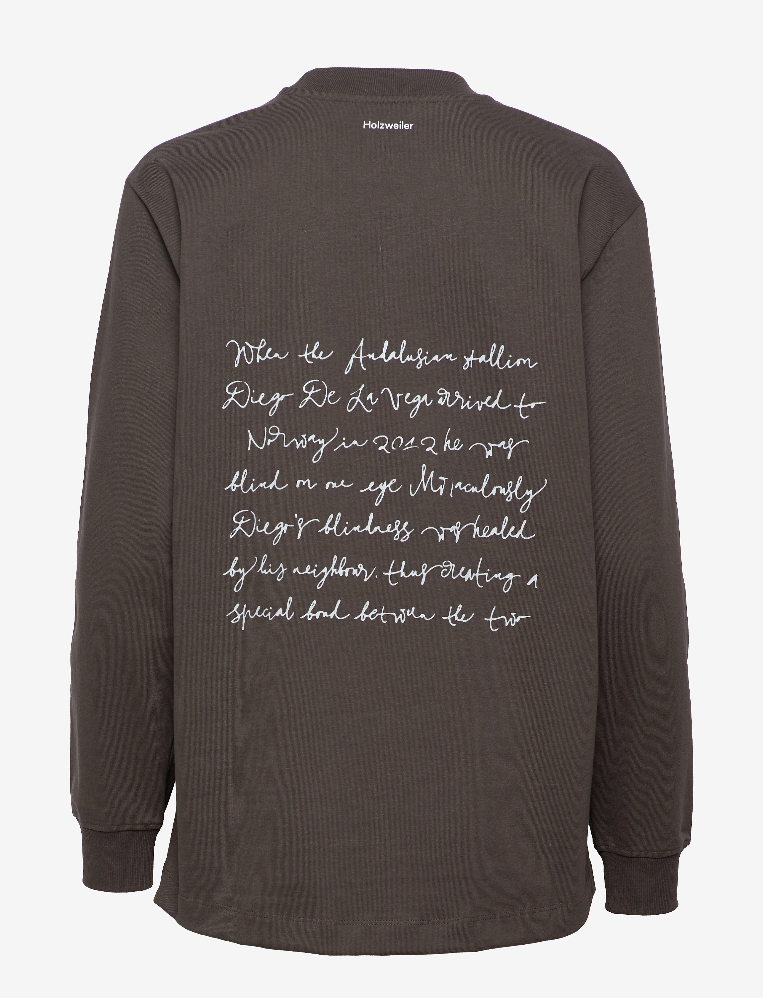 HOLZWEILER - Luring Print LS - dk. grey - 2