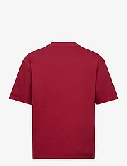 HOLZWEILER - Ranger Oslo Tee - laisvalaikio marškinėliai - red - 1