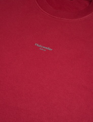 HOLZWEILER - Ranger Oslo Tee - podstawowe koszulki - red - 2