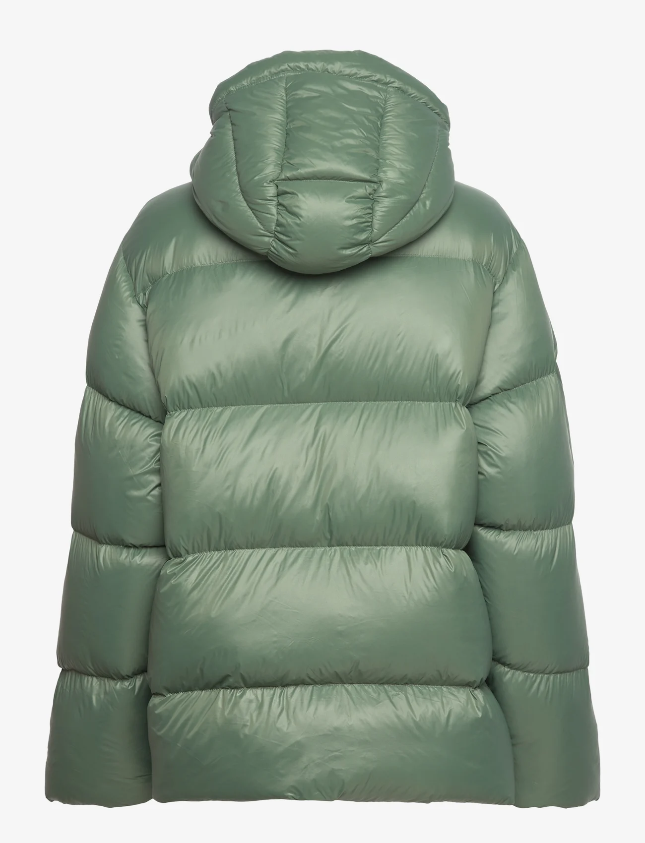 HOLZWEILER - Shiny Besseggen Down Jacket - winter jacket - dk. green - 1
