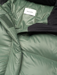 HOLZWEILER - Shiny Besseggen Down Jacket - winter jacket - dk. green - 5