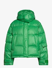 HOLZWEILER - Steilia Short Down Jacket - winter jacket - green - 0