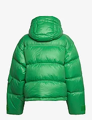 HOLZWEILER - Steilia Short Down Jacket - winter jacket - green - 1