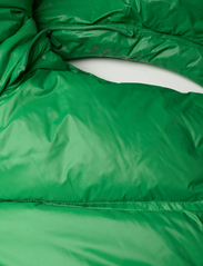 HOLZWEILER - Steilia Short Down Jacket - winter jacket - green - 8
