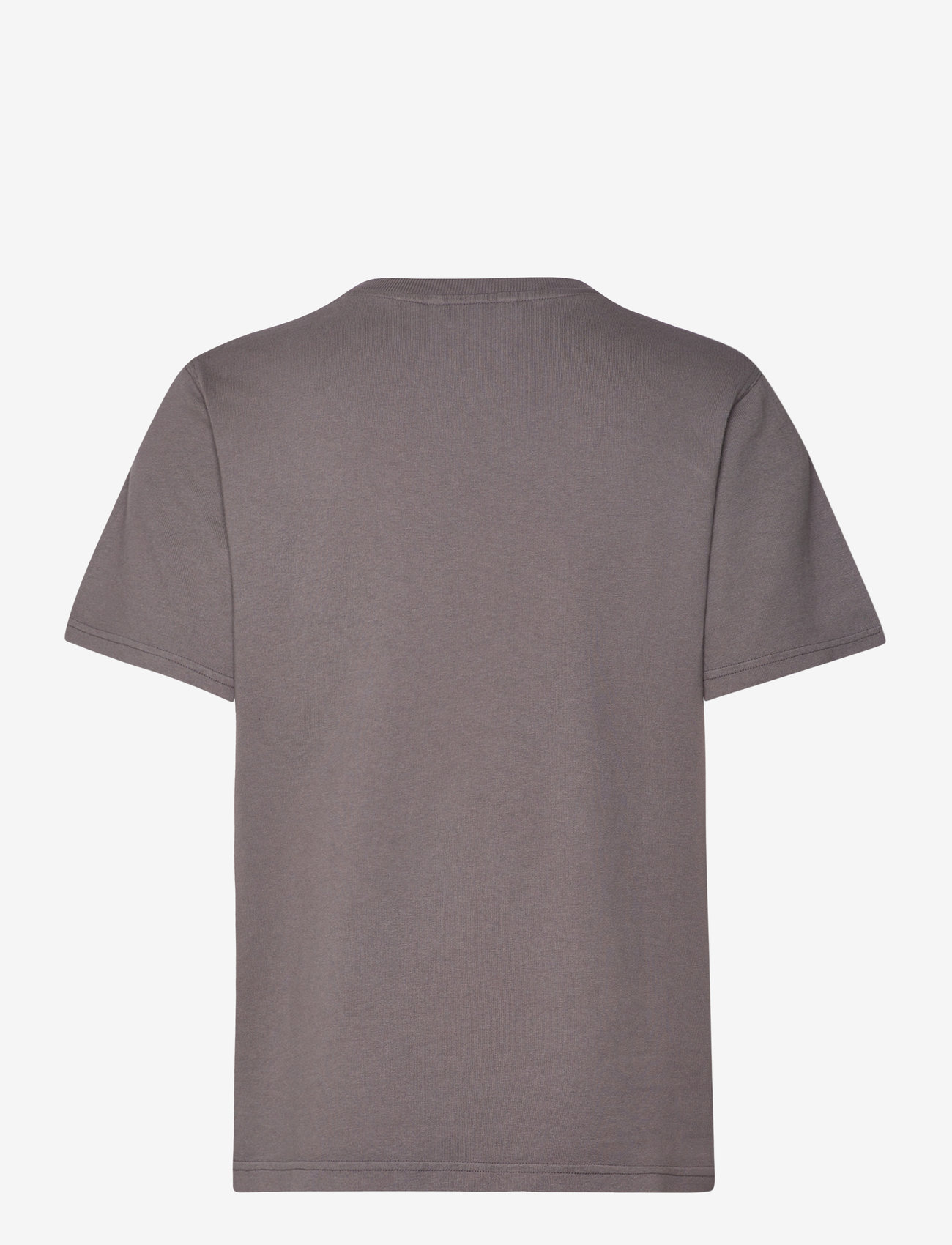 HOLZWEILER - Penny Oslo Tee - grey - 1