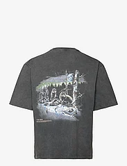 HOLZWEILER - Ranger National Tee - kortærmede t-shirts - grey - 1