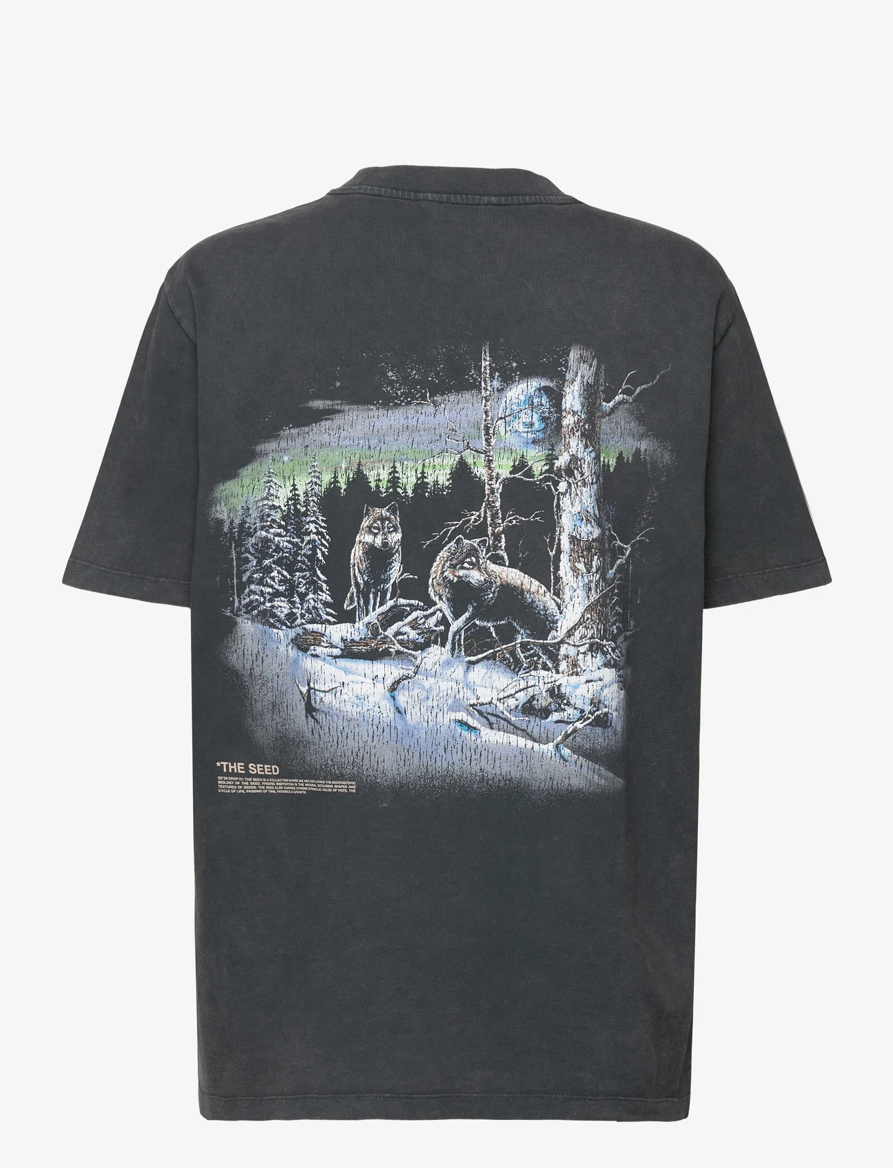 HOLZWEILER - Kjerag National Tee - t-shirt & tops - grey - 1