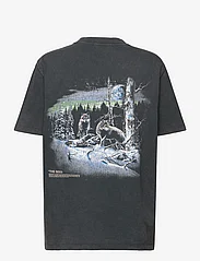 HOLZWEILER - Kjerag National Tee - t-shirts - grey - 1