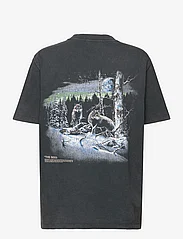 HOLZWEILER - Kjerag National Tee - t-shirty & zopy - grey - 1