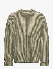 Hope - Heavy Rib-knit Sweater - knitted round necks - green/beige - 0