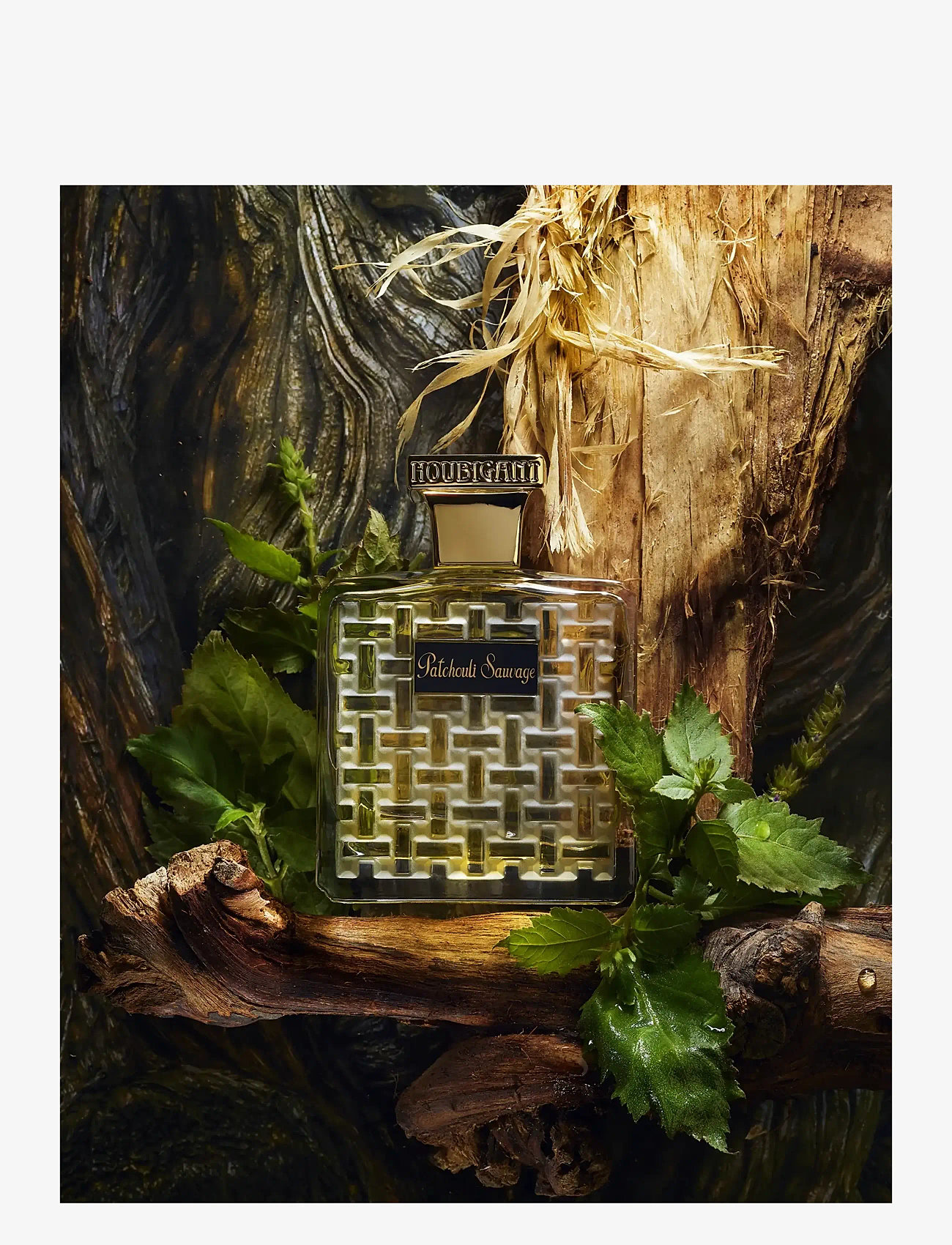 Houbigant Paris - Patchouli Sauvage - meestele  - clear - 2