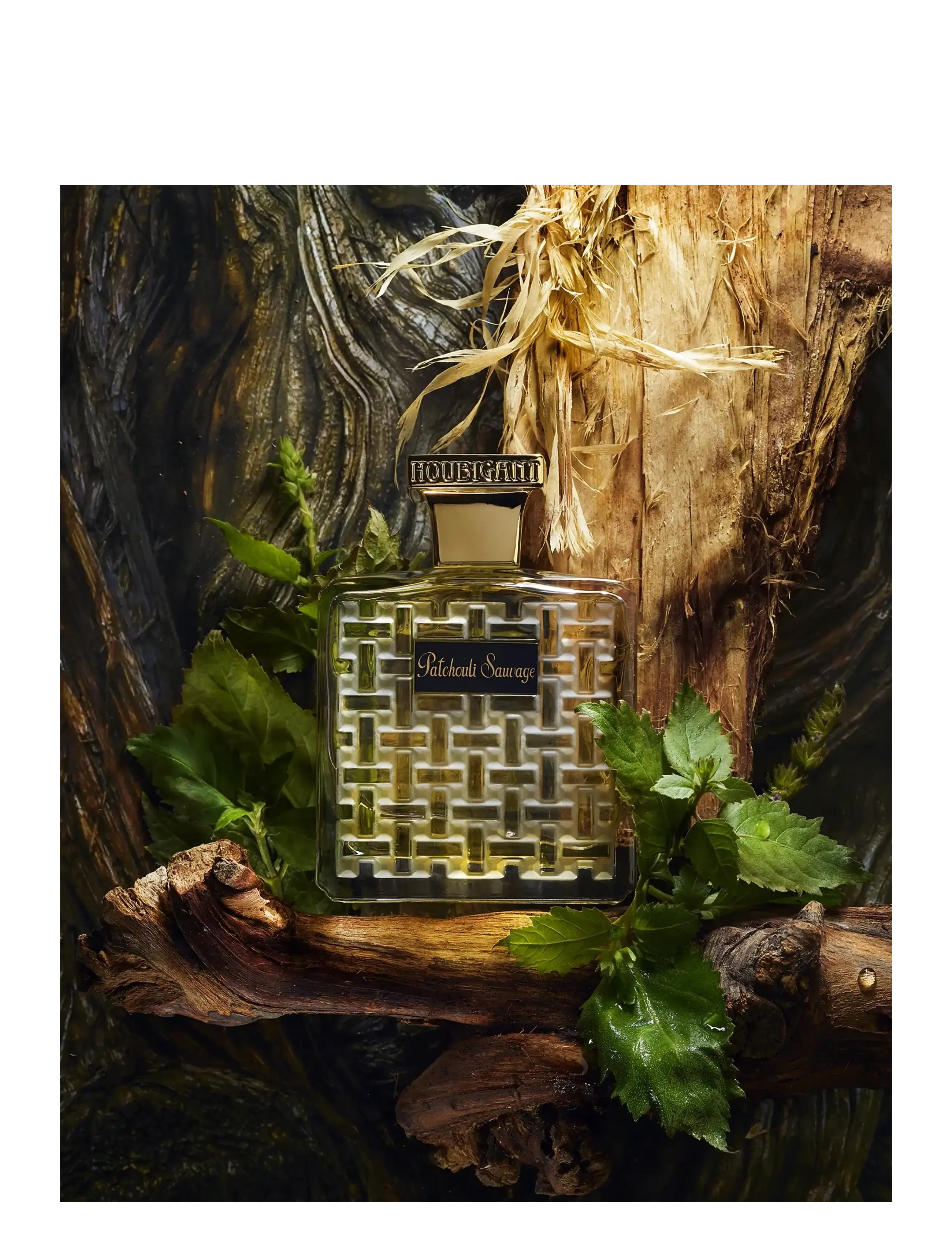 Houbigant Paris - Patchouli Sauvage - till honom  - clear - 2
