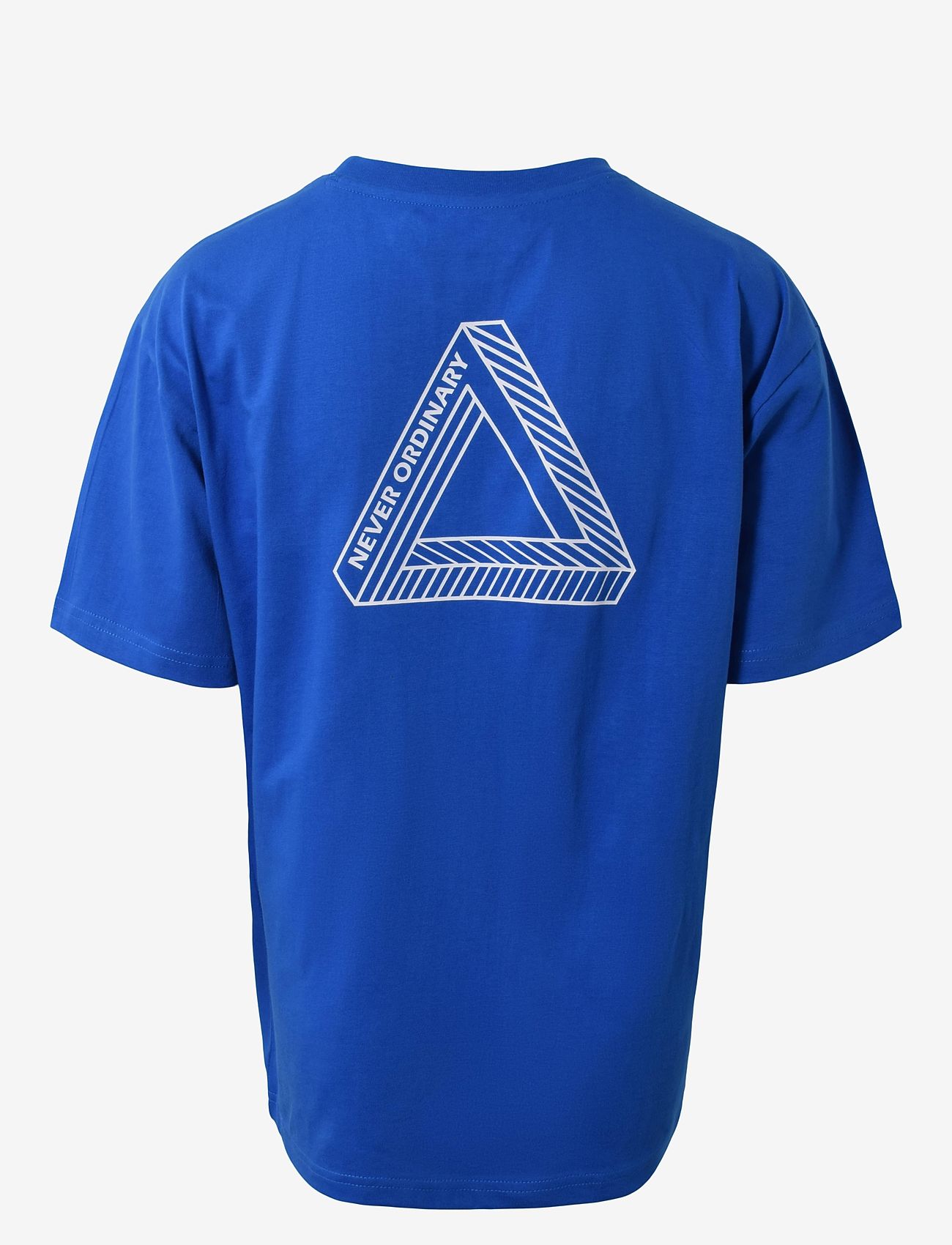 Hound - Tee w/Back print - efterårstøj - cobalt blue - 1