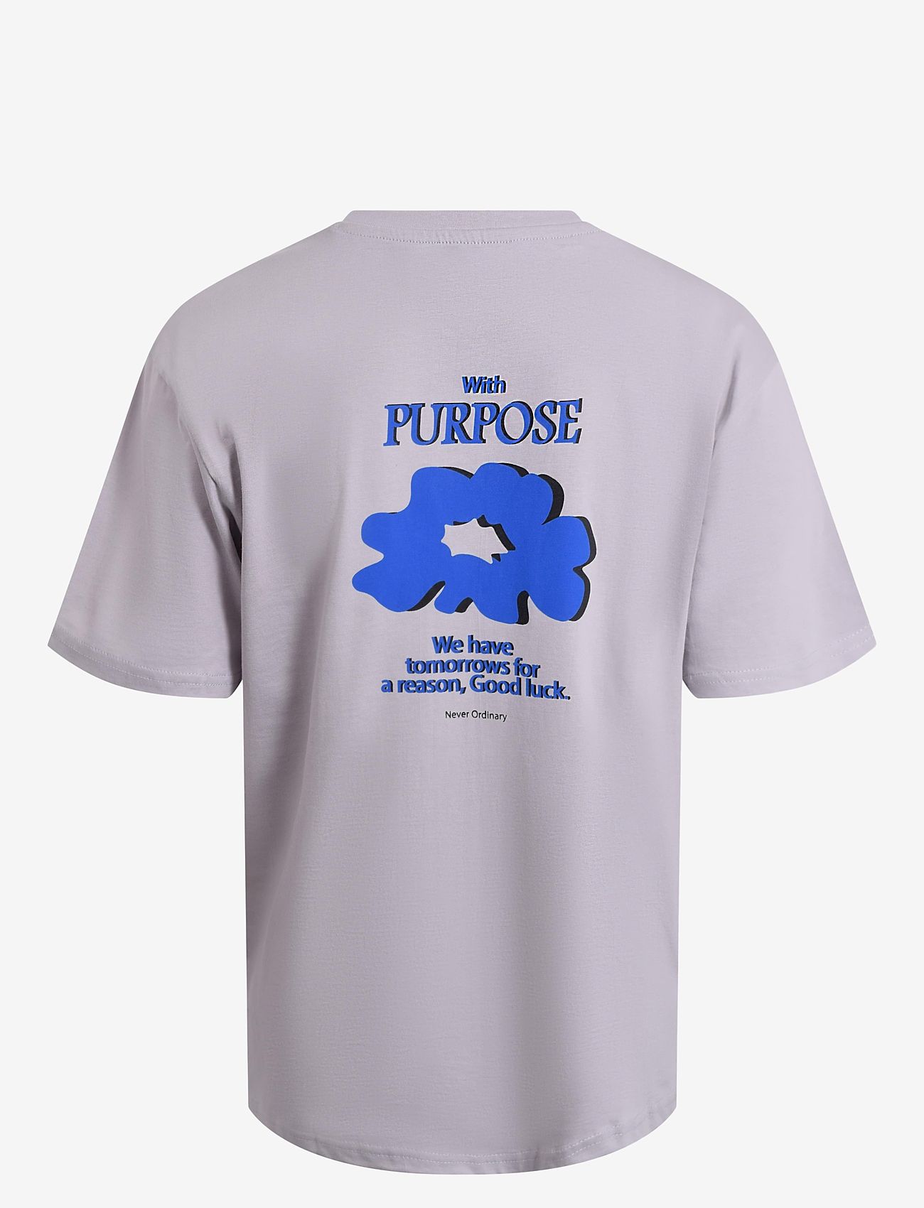 Hound - Tee w/Back print - herbstliche kleidung - light grey - 1