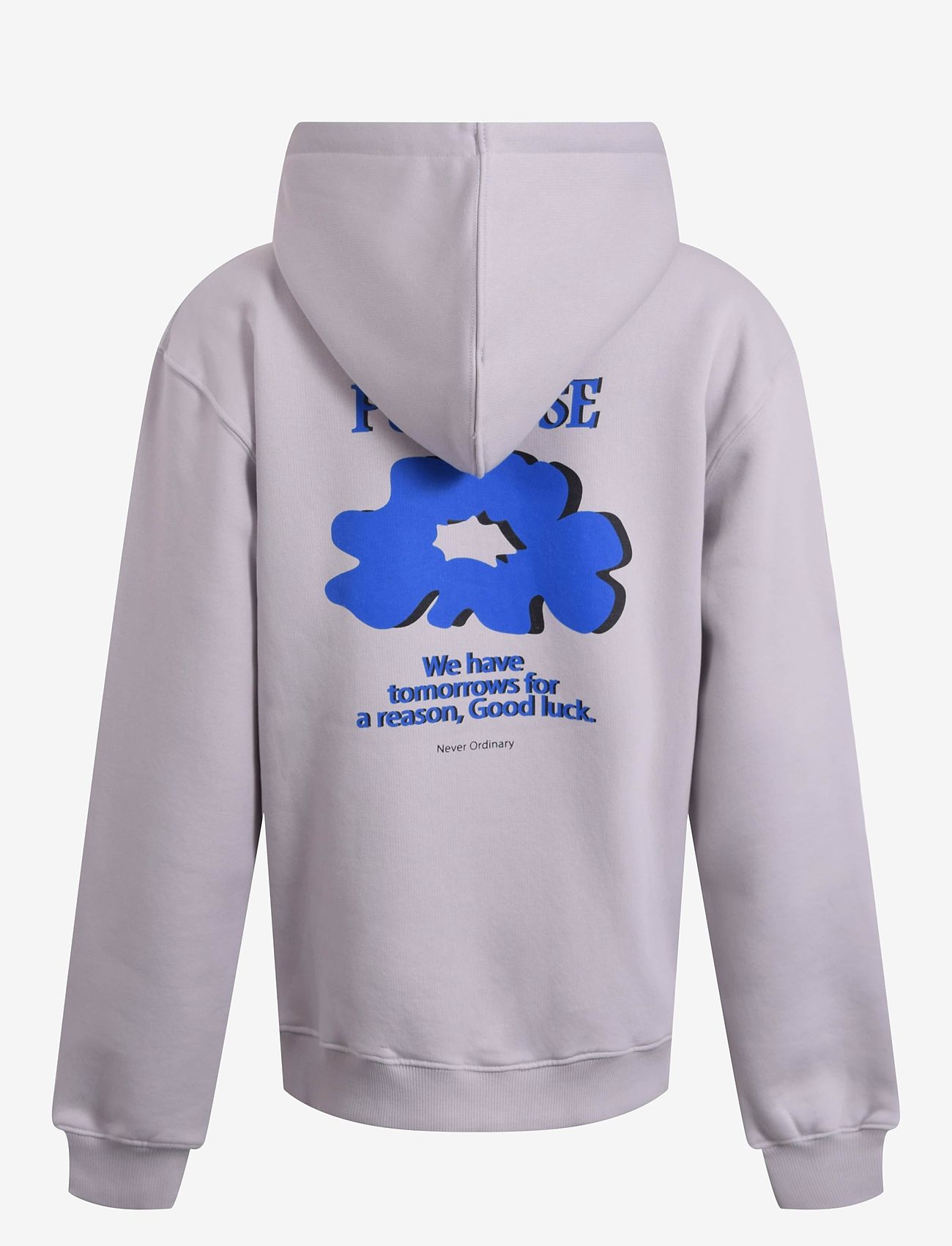 Hound - Hoodie w/Back print - light grey - 1