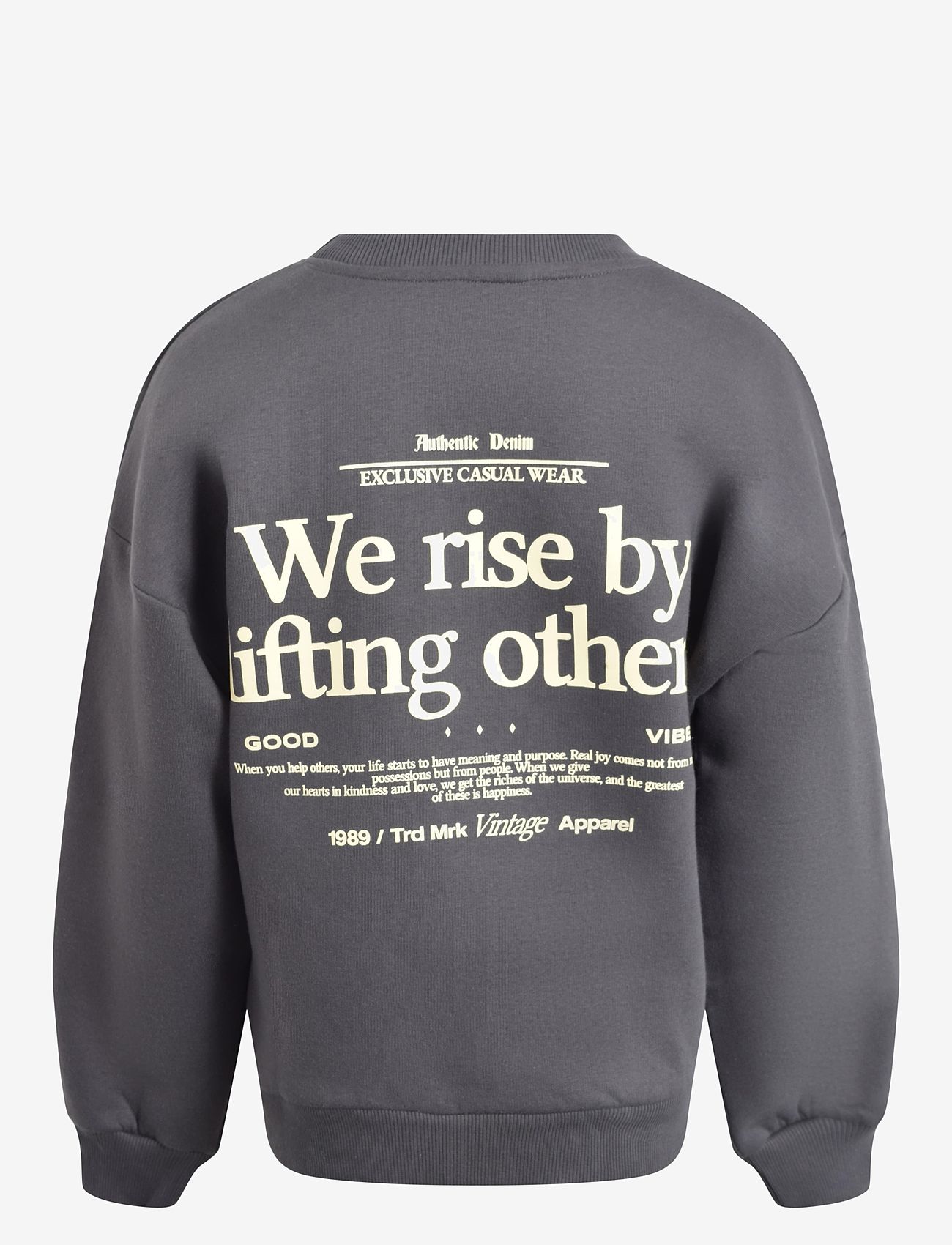 Hound - Sweatshirt - dressipluusid - grey - 1