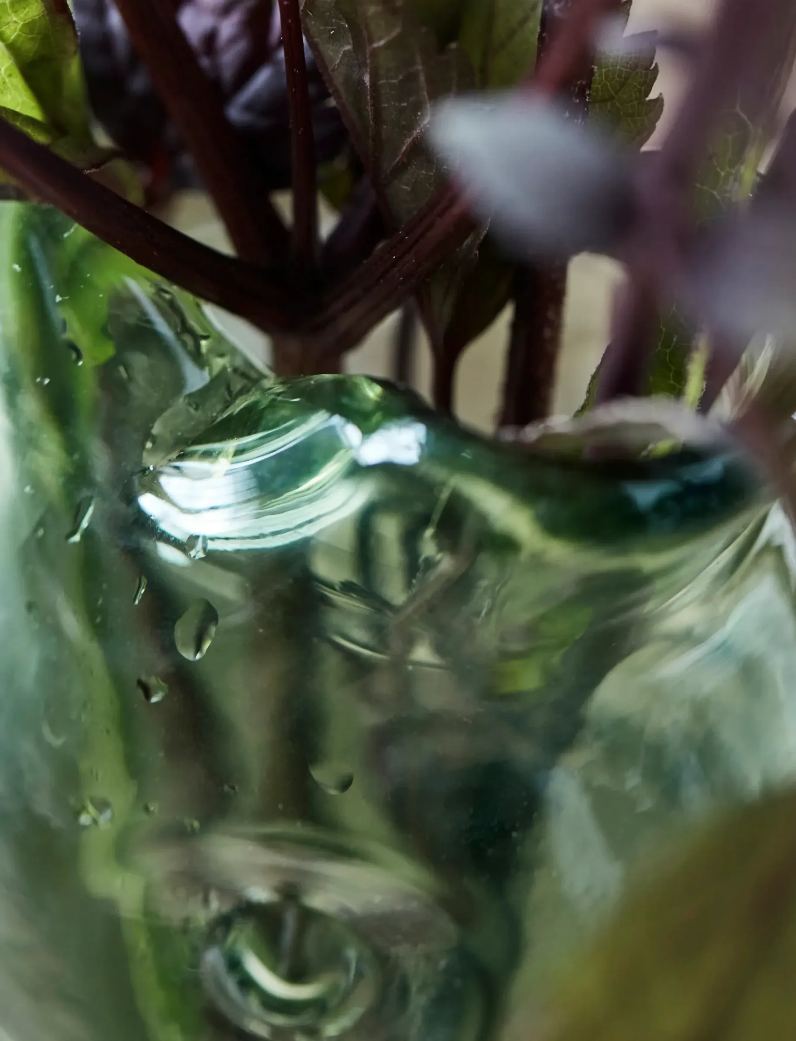 house doctor - Vase, HDFish, Green - vaasid - green - 2