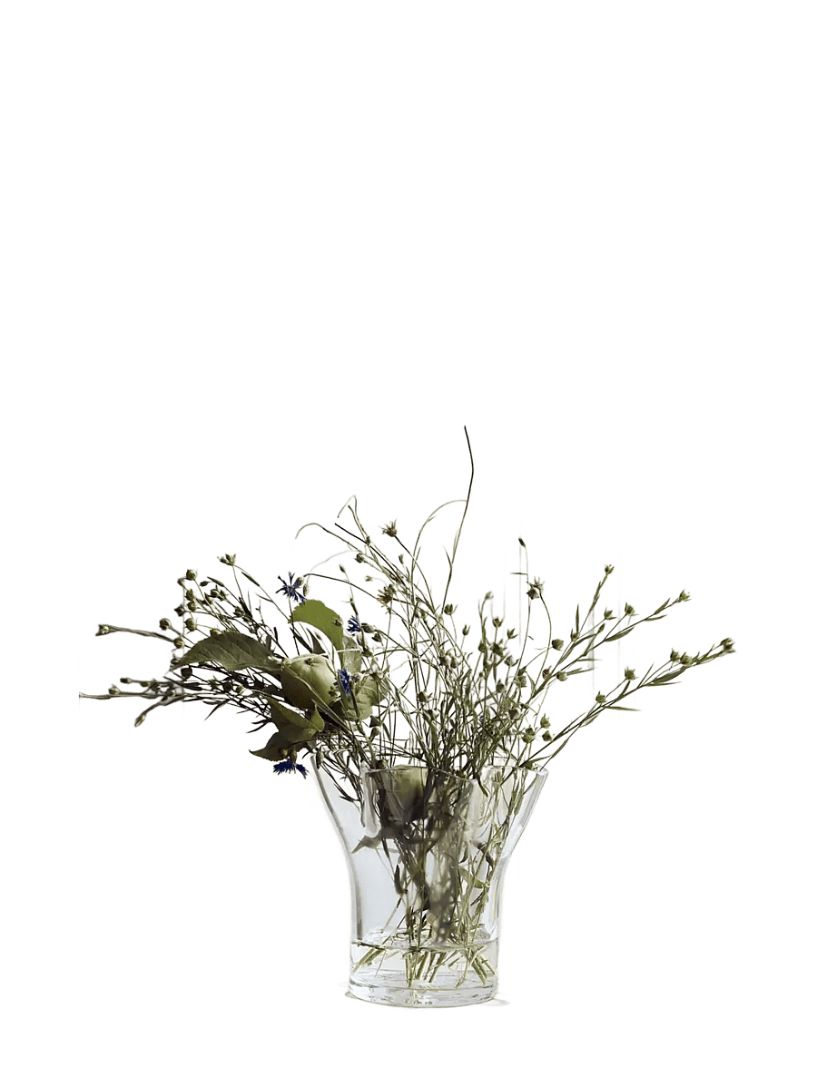 house doctor - Vase, HDPlis, Clear - vasen - clear - 2