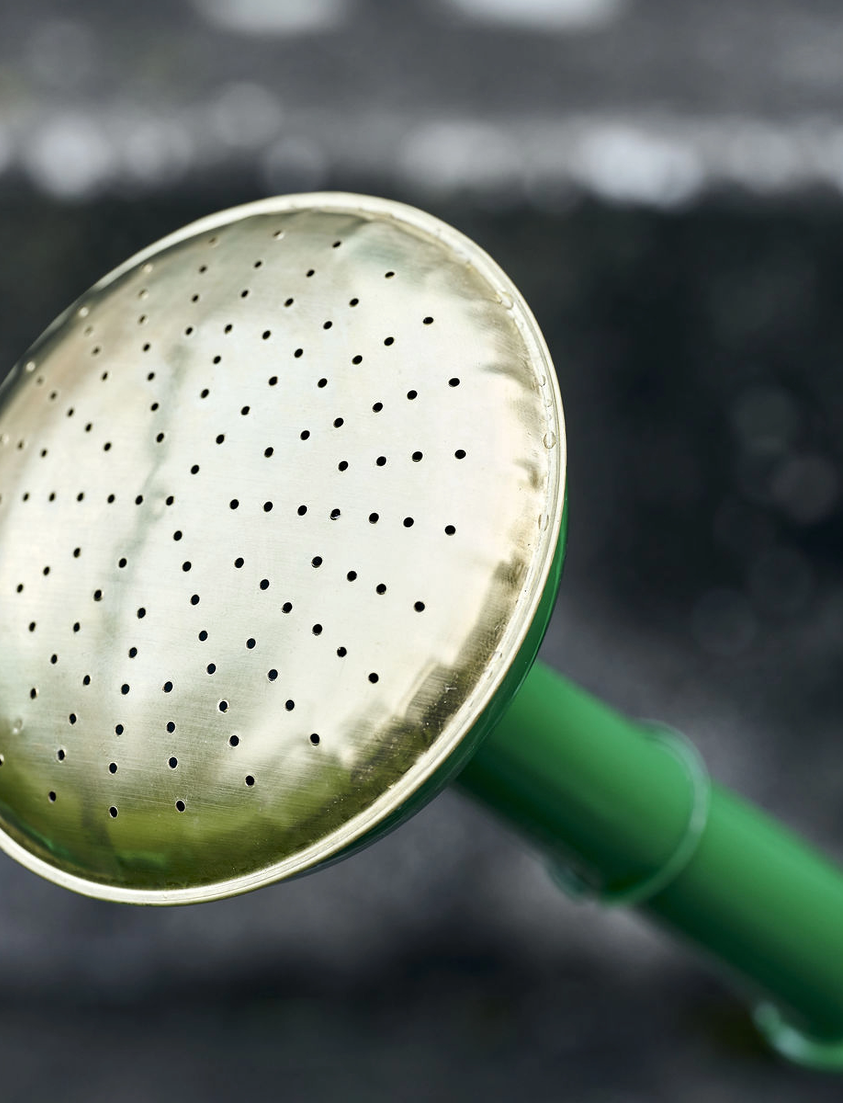 Haws Watering Can Rose Replacement Authentic www.meesenburg.kz