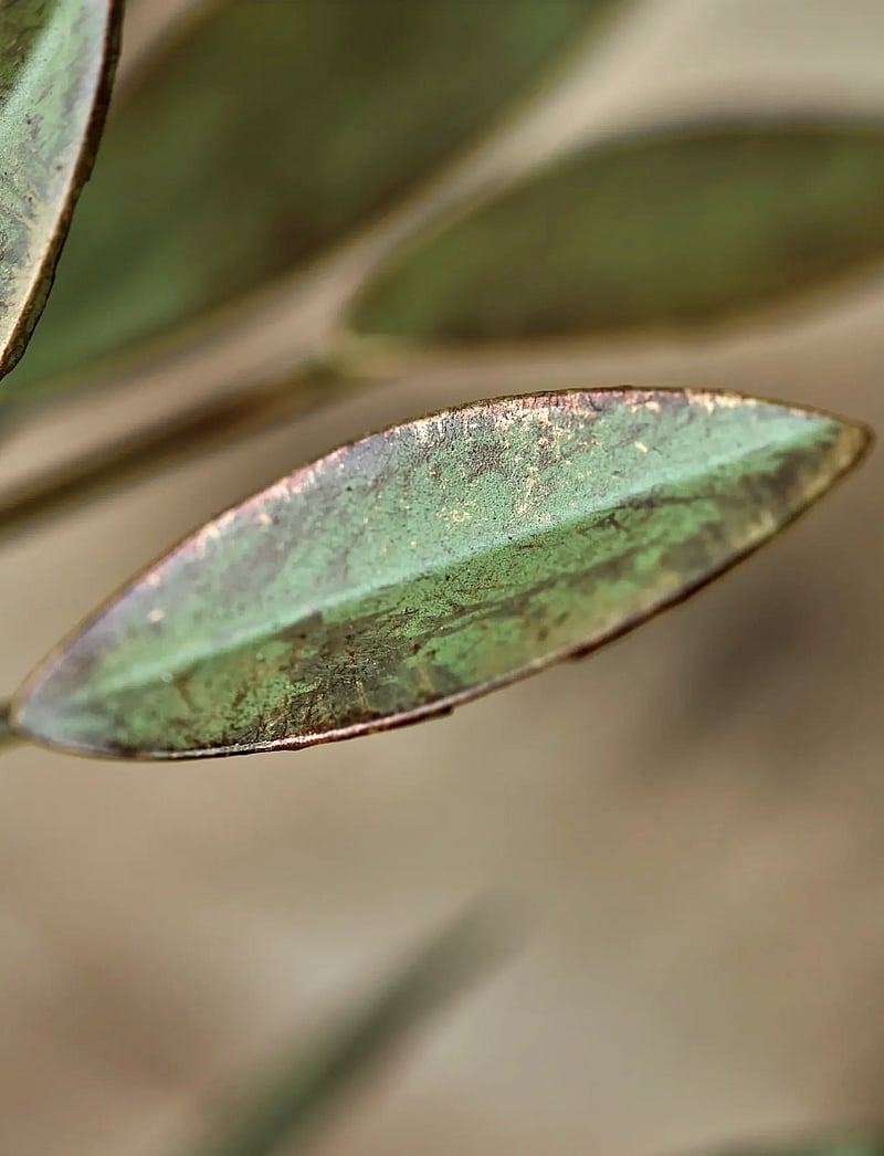 house doctor - Candle stand, HDLeaves, Antique green - die niedrigsten preise - antique green - 2