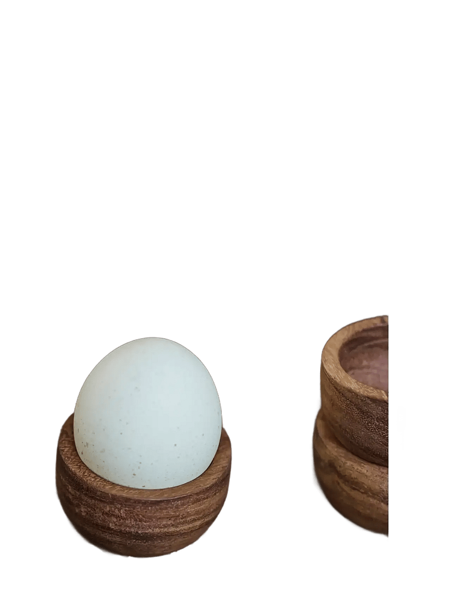 house doctor - Egg cup, HDWood, Nature - munatopsid - nature - 2