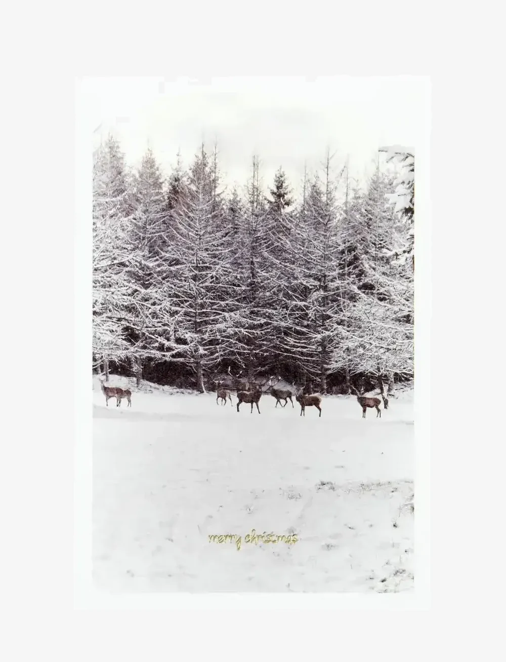 house doctor - Greeting cards, HDWinter w. envelope, White - osta hinna alusel - vit - 3