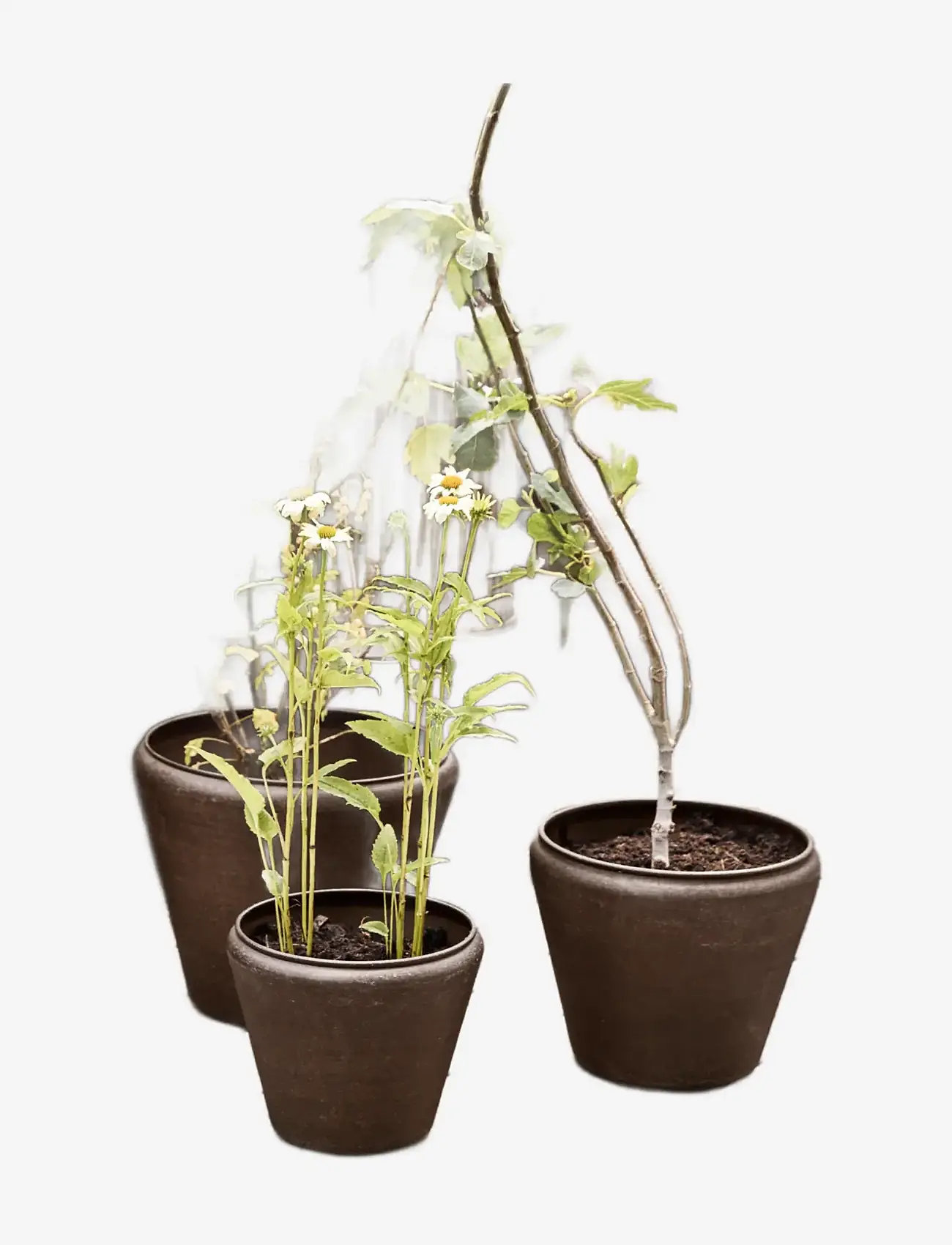 house doctor - Planter, HDFunnel, Antique brown - osta hinna alusel - antique brown - 2