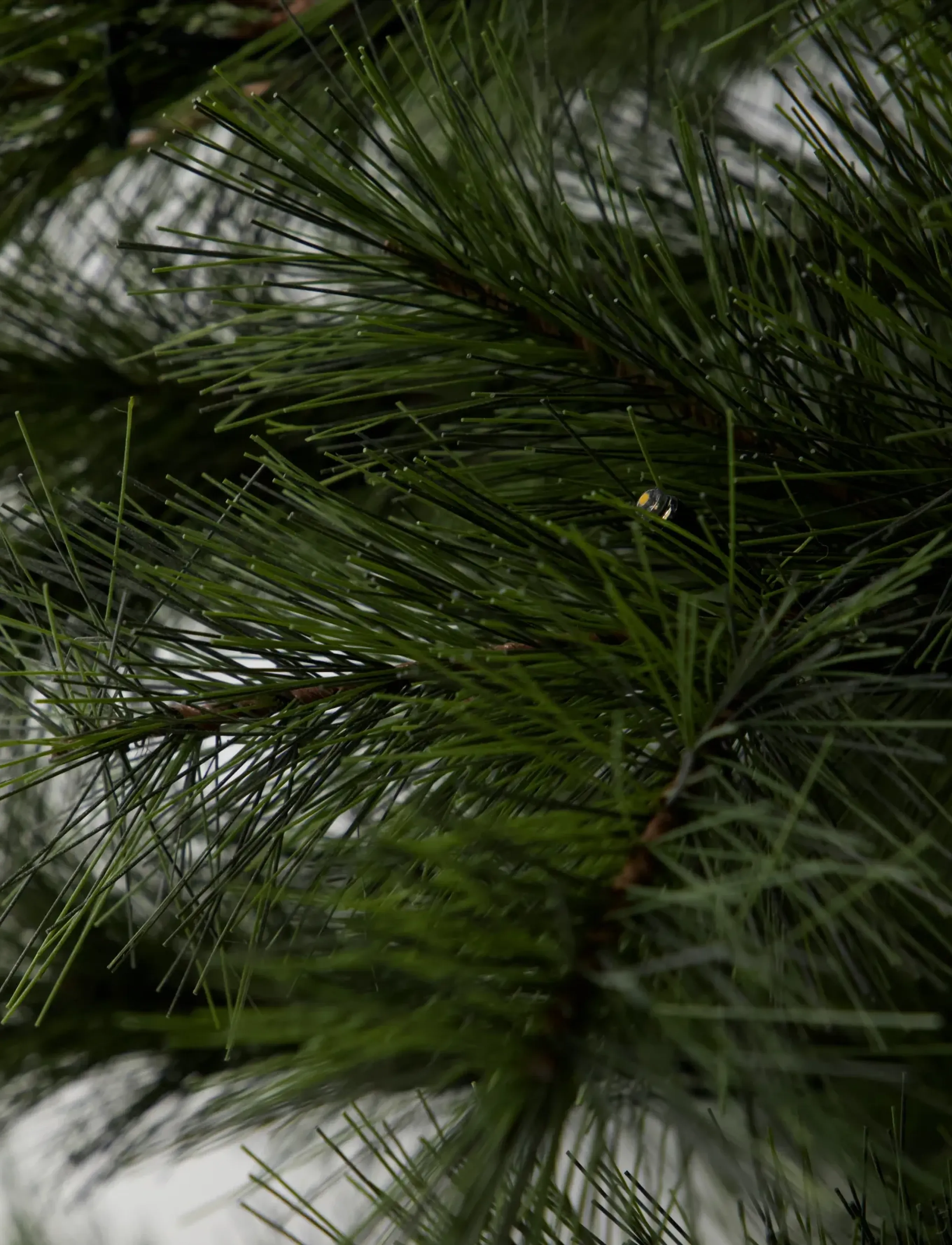 house doctor - Christmas tree, HDPeuce, Nature - beige - 3