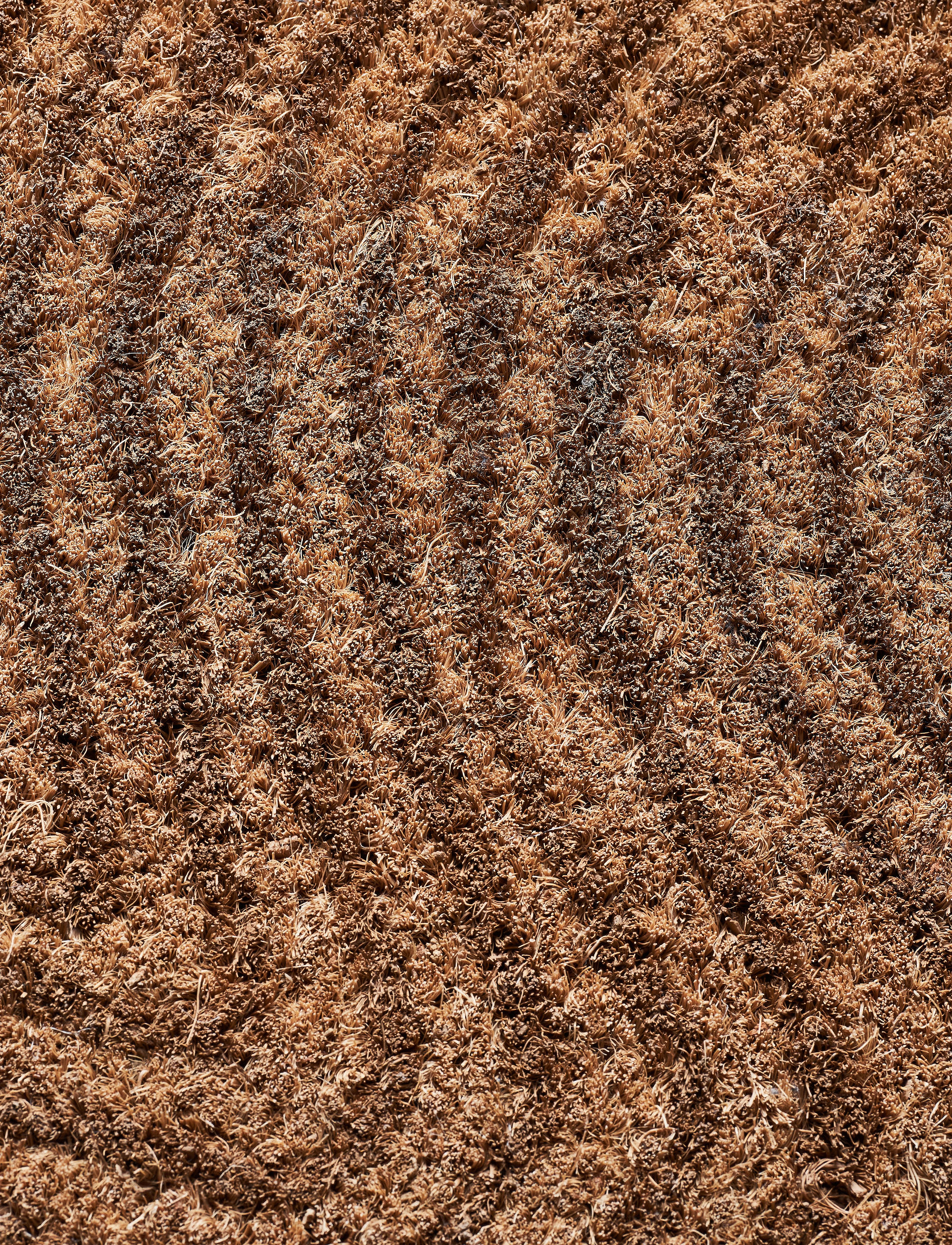 house doctor - Door mat, HDTrip, Nature - dörrmattor - nature - 3