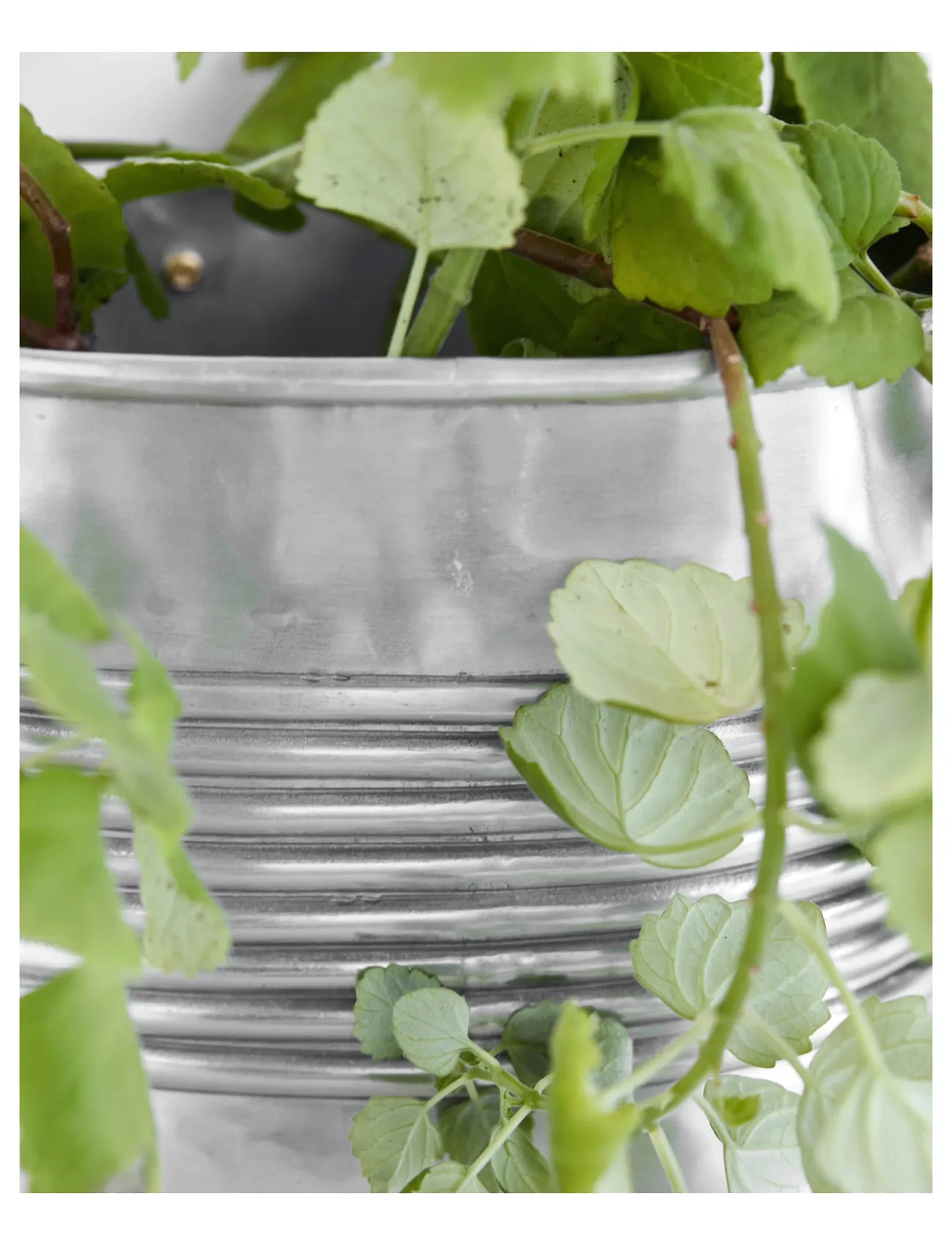 house doctor - Planter, HDGroove, Antique silver f - donice - antique silver finish - 4