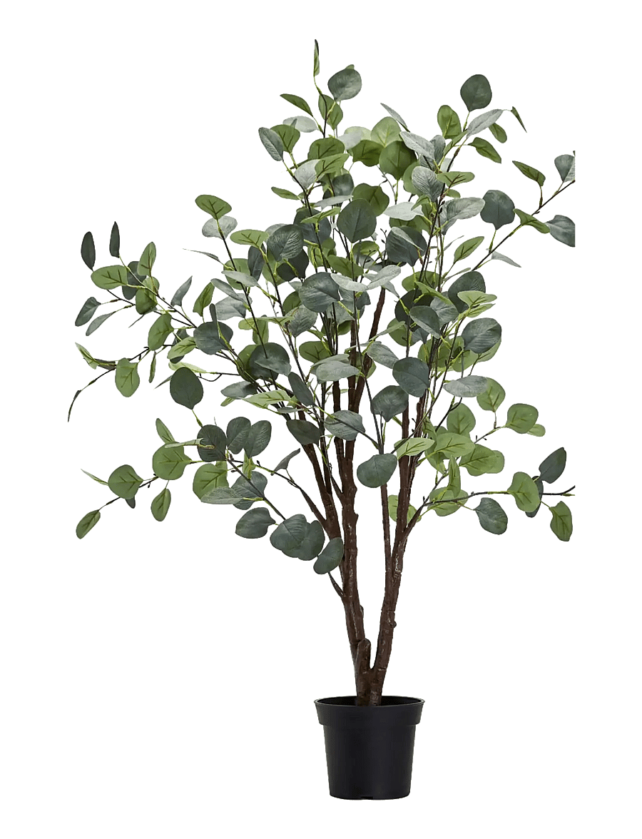 house doctor - Artificial plant, HDEucalyptus, Gre - sõbrapäeva kingitused - grey - 1