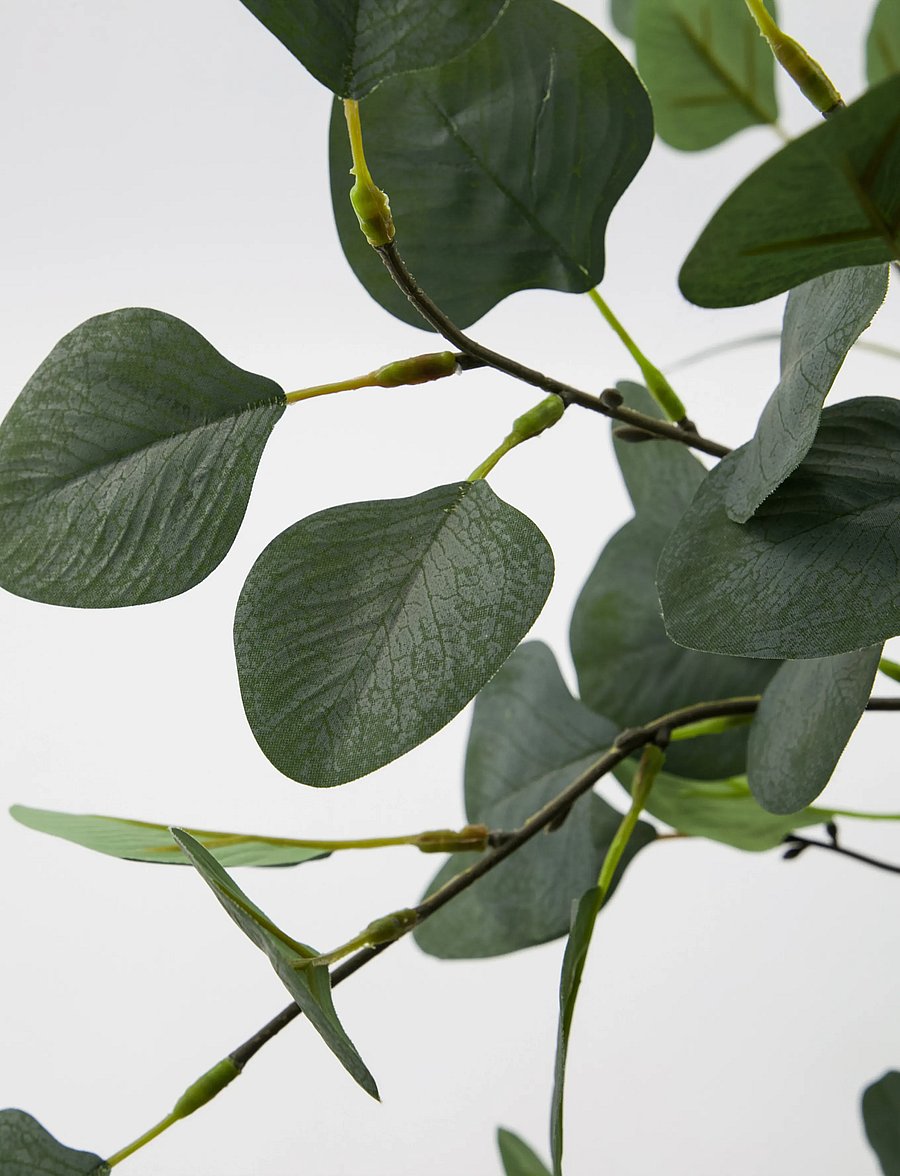 house doctor - Artificial plant, HDEucalyptus, Gre - sõbrapäeva kingitused - grey - 2