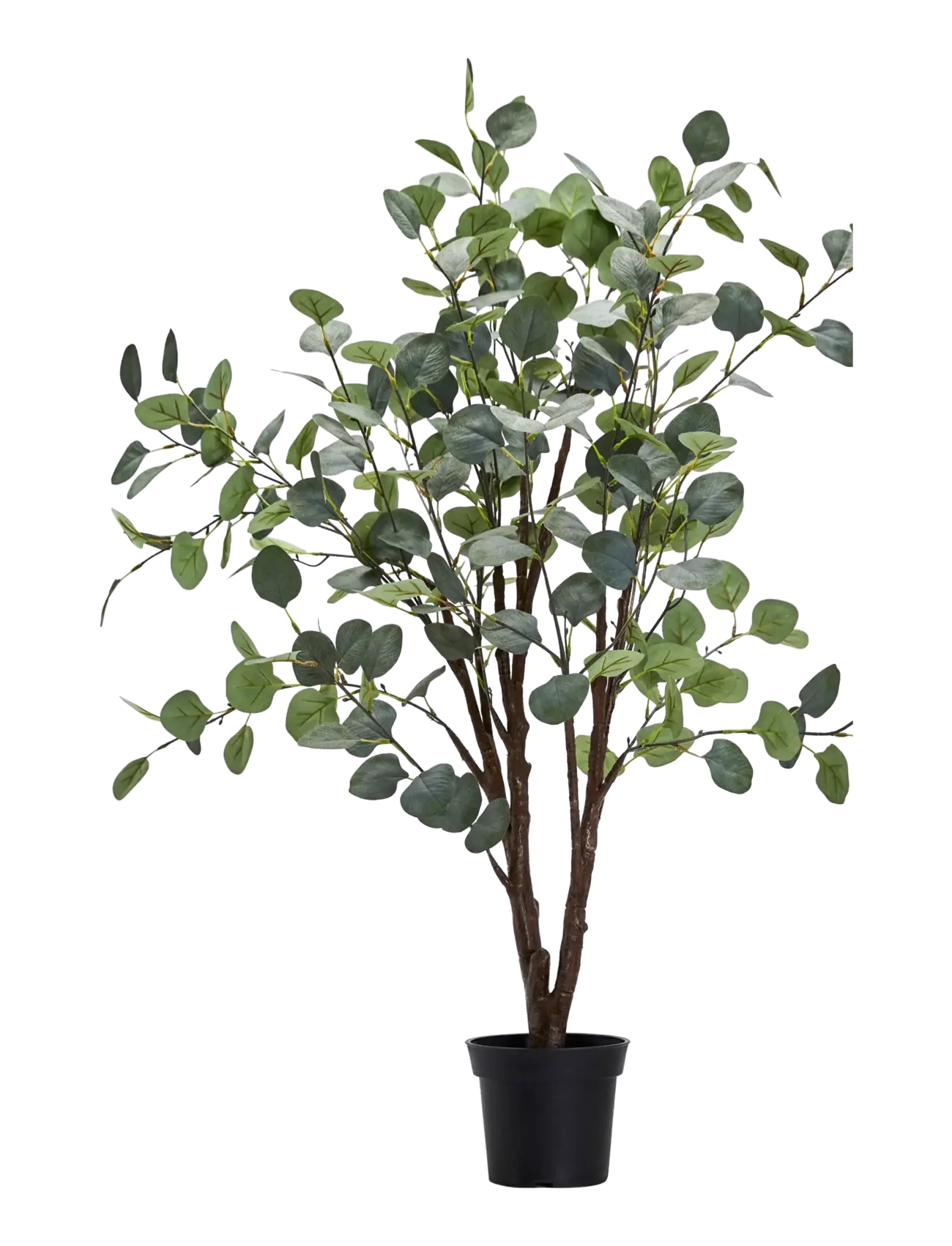 house doctor Artificial plant, HDEucalyptus, Gre - Vis alt - GREY / green