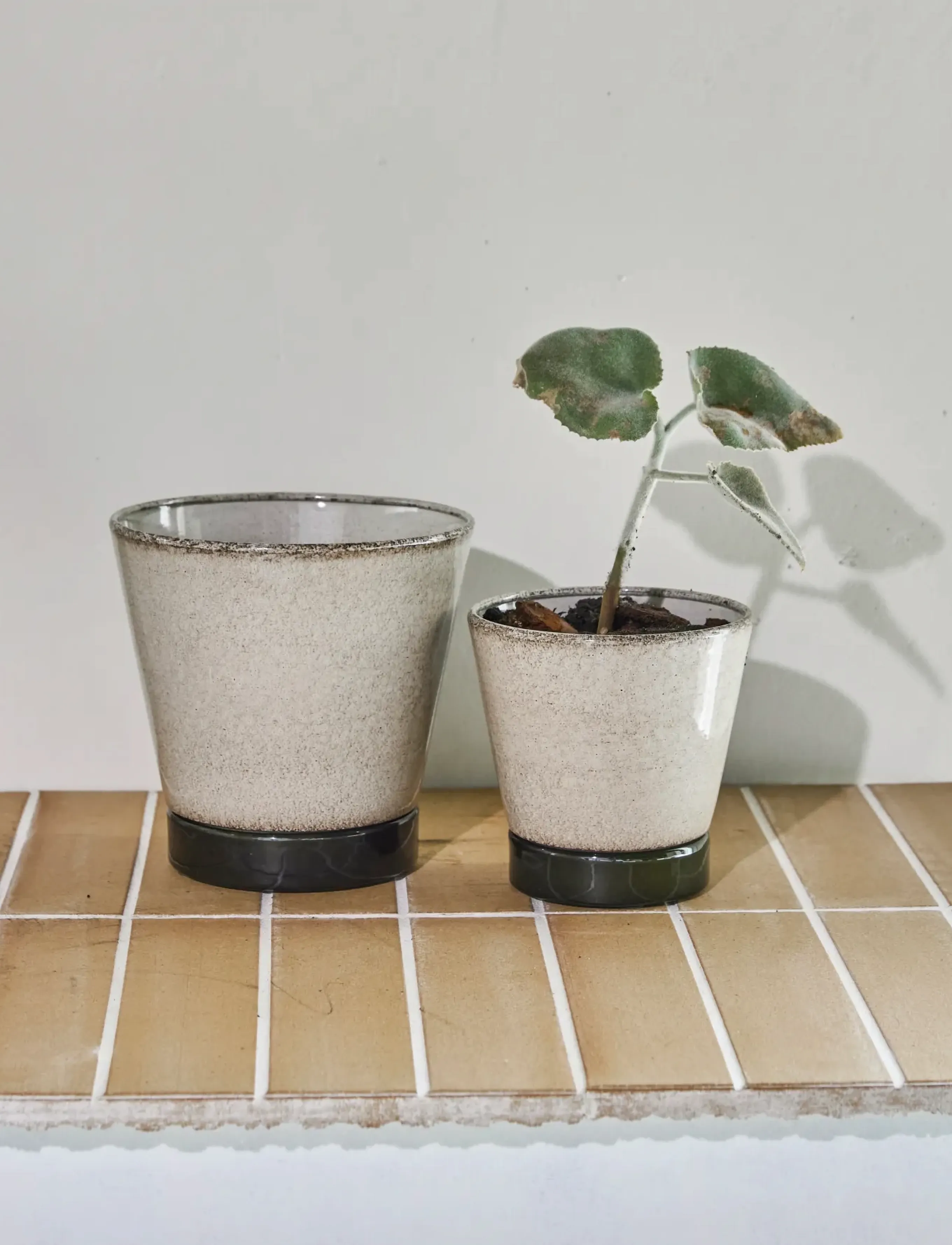 house doctor Planter, Hdlima, Beige, Green, 13X 17 cm, Decoration, Beige - Flower Pots, Homeware
