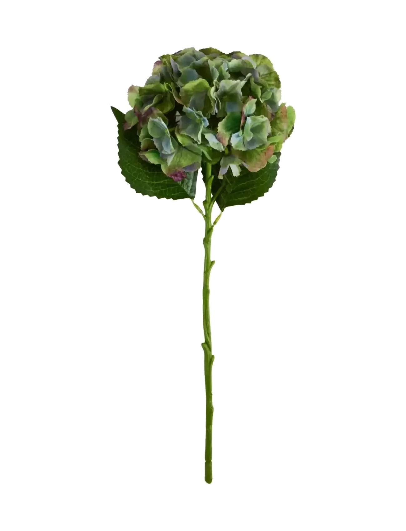 house doctor Artificial Flower, Hdhydrangea, Gre, Dried & Fake Flowers, Grøn, Str: 20X 50CM