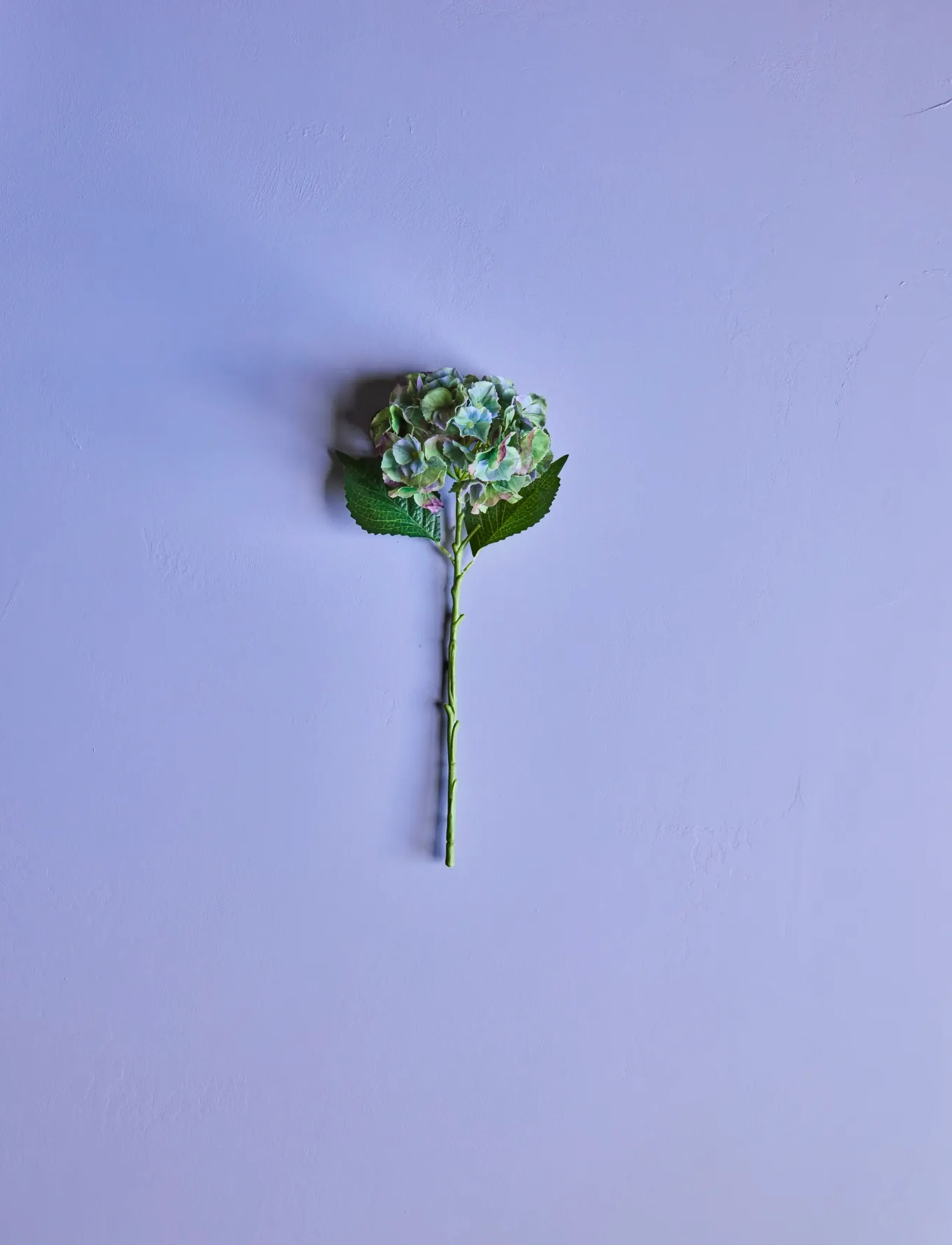 house doctor Artificial Flower, Hdhydrangea, Gre, 20X 50 cm, Decoration, Grün - Dried & Fake Flowers, Homeware