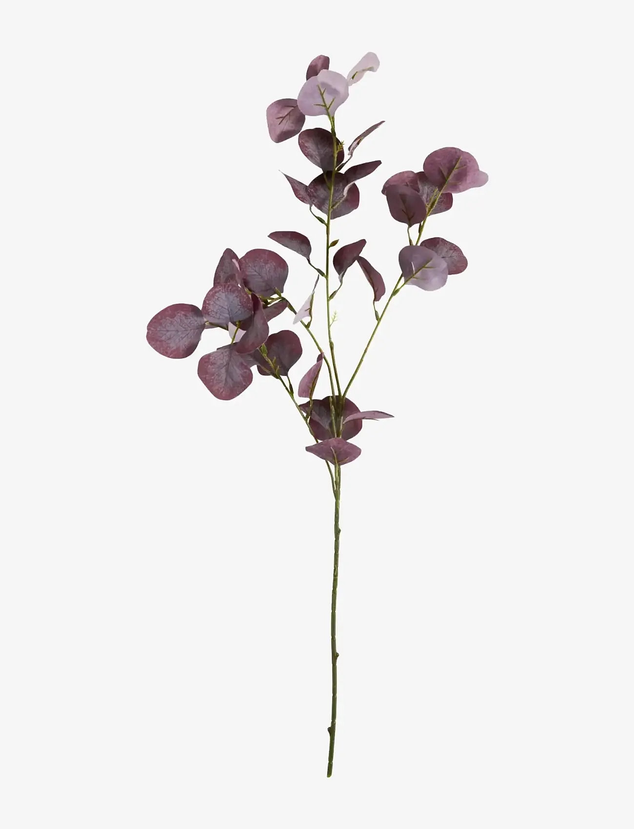 house doctor - Artificial branch, HDEucalyptus, Burgundy - valentinstaggeschenke - burgundy - 1