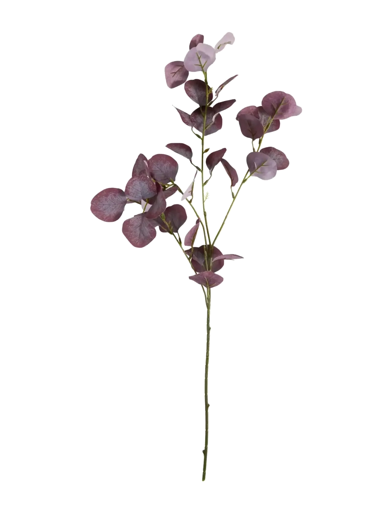 house doctor Artificial branch, HDEucalyptus, Burgundy - Konstgjorda blommor - BURGUNDY / pink/rose