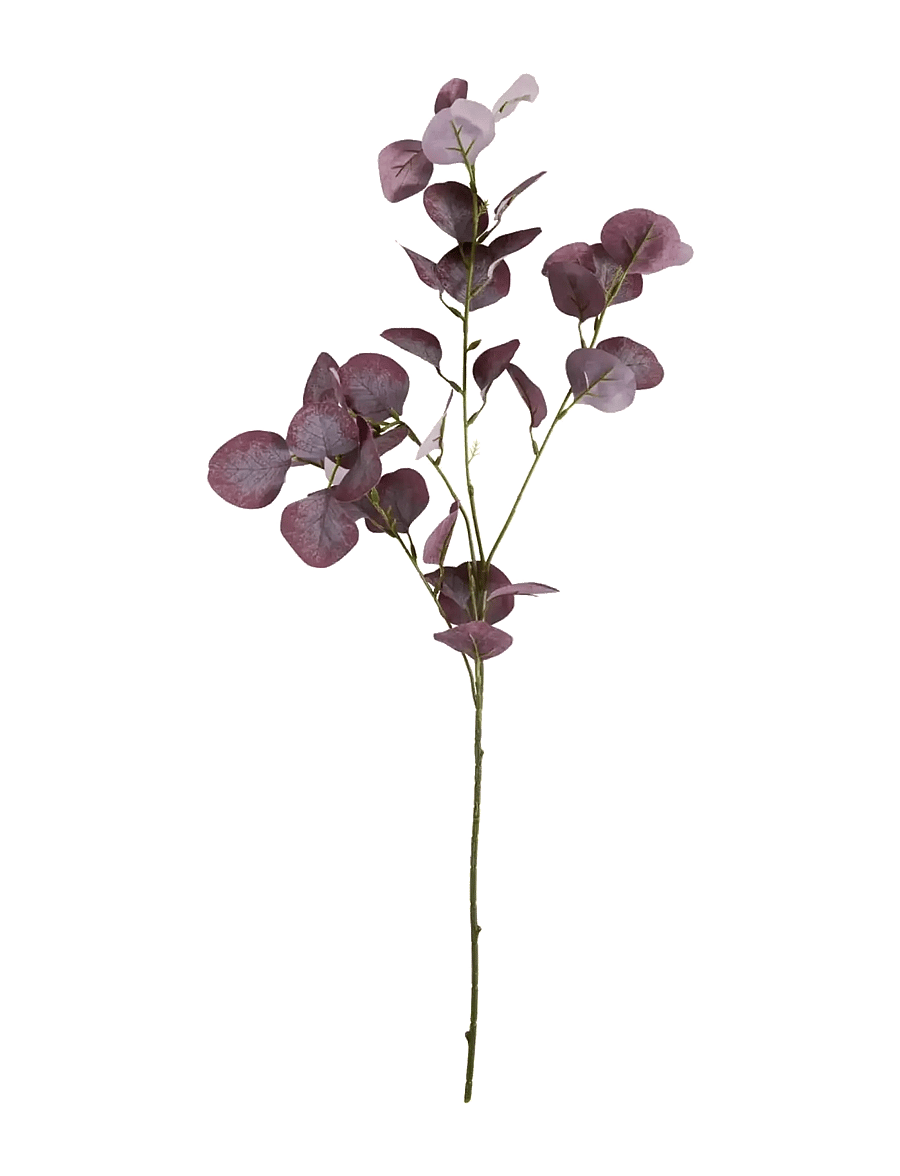 house doctor - Artificial branch, HDEucalyptus, Bu - valentino dienos dovanos - burgundy - 1